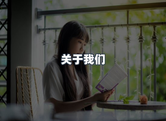 关于我们